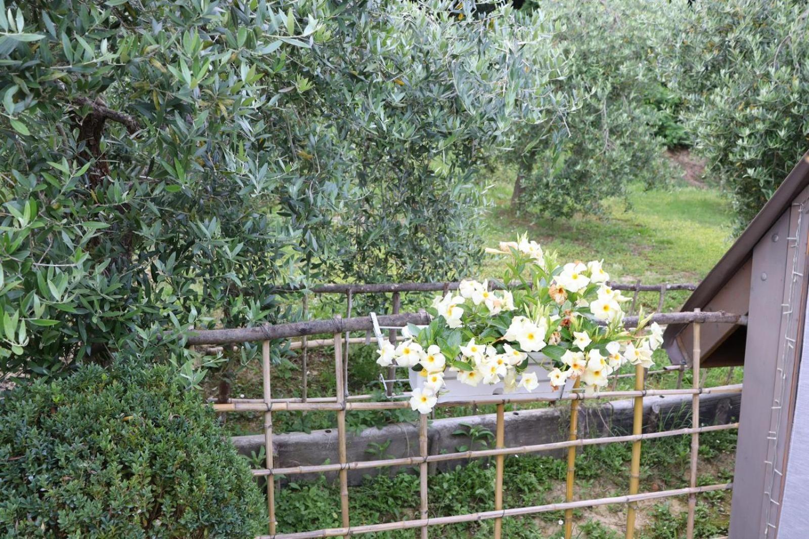 Cevoli Country Resort Lari Екстериор снимка