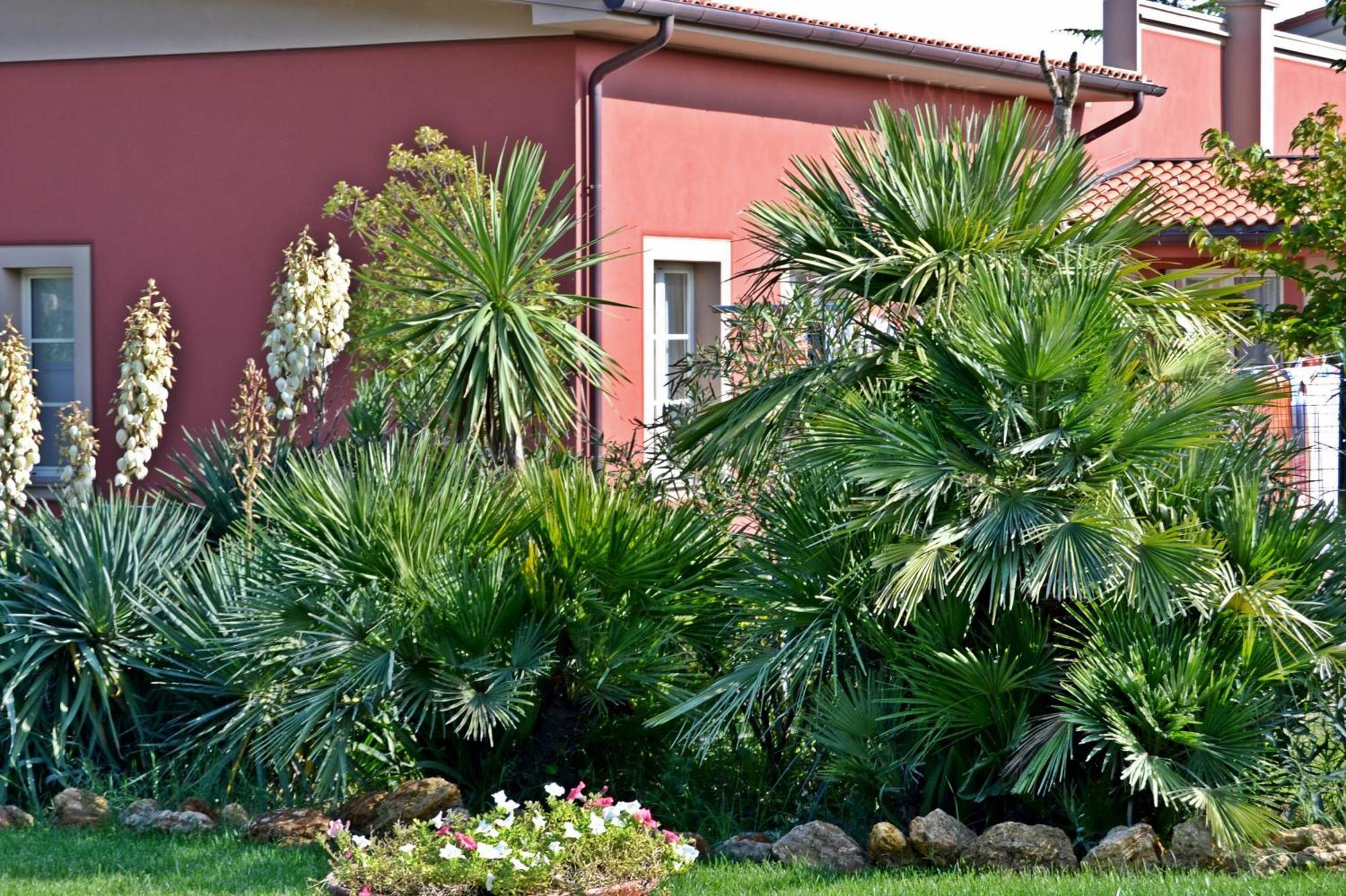Cevoli Country Resort Lari Екстериор снимка