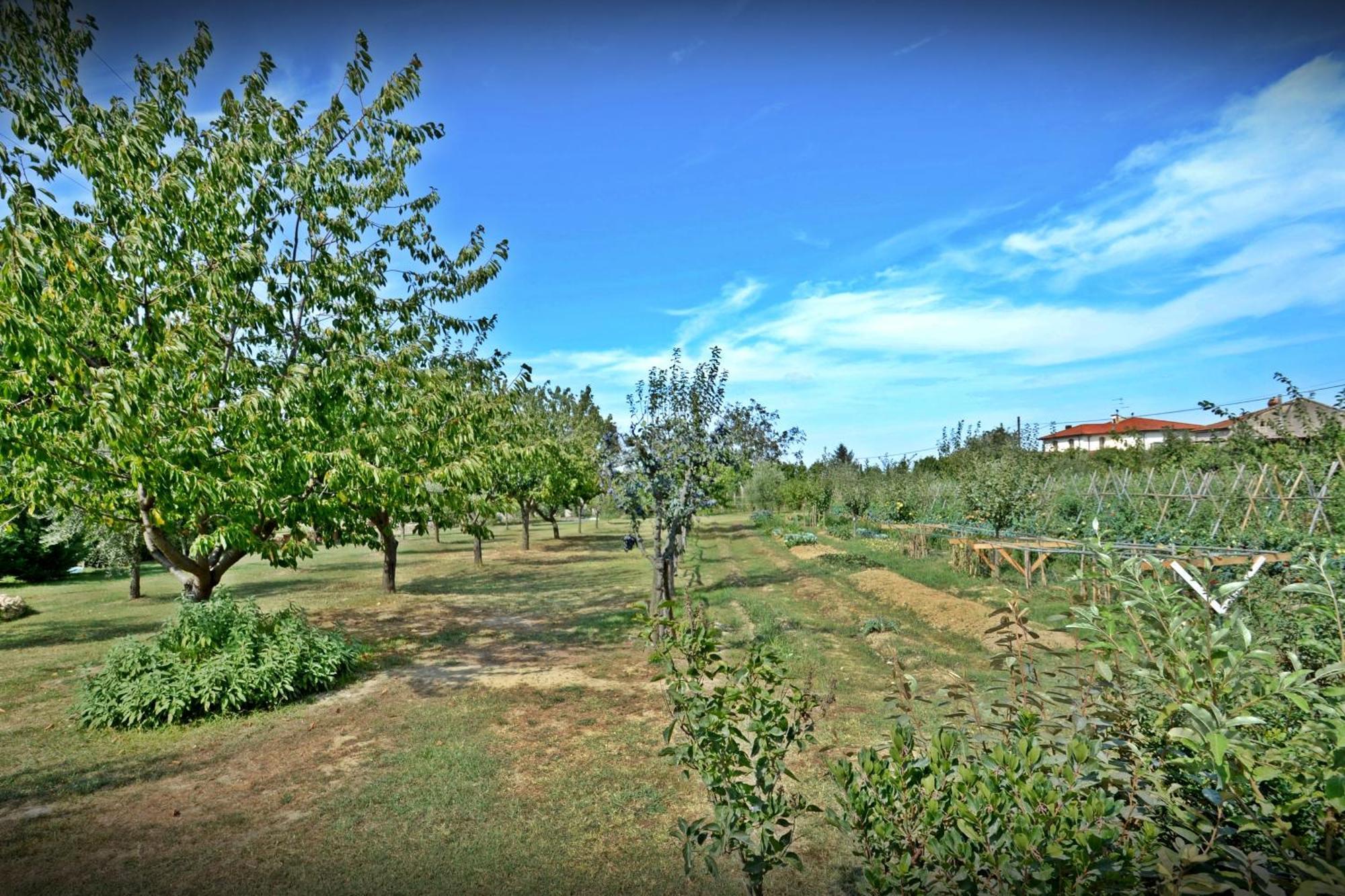 Cevoli Country Resort Lari Екстериор снимка