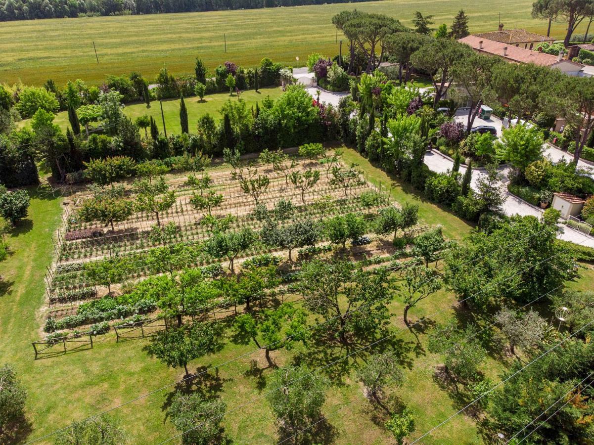 Cevoli Country Resort Lari Екстериор снимка